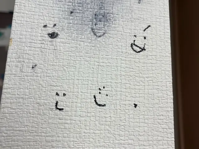 〜作業実績300件以上〜※詳しいサービス内容をご確認の上ご予約お願い致します。サービスの画像