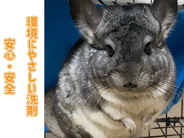 【快適空間へ】綺麗な風をお届け！！☆元家電修理者が伺います☆サービスの画像