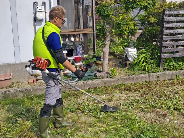 敷地、空き地の草刈り、芝刈りお任せ下さい！資格、経験20年以上のプロが伺います！サービスの画像