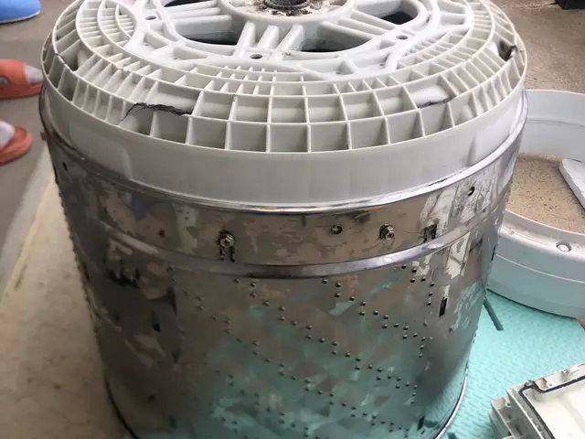 ワカメの汚れが本当に取れているのか気になって仕方がない方へ完全分解で解決できますサービスの画像