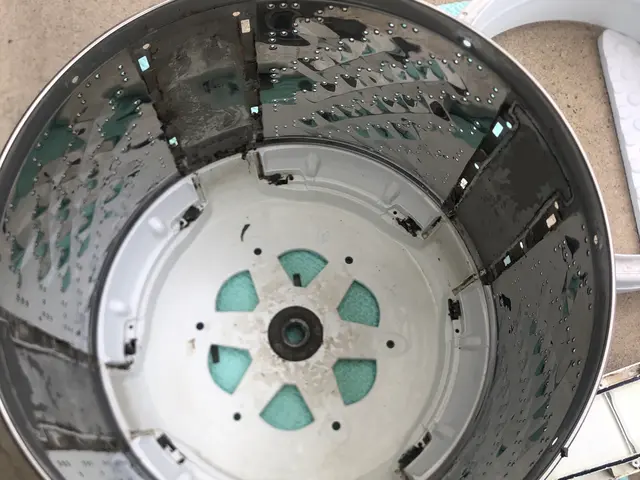 ワカメの汚れが本当に取れているのか気になって仕方がない方へ完全分解で解決できますサービスの画像