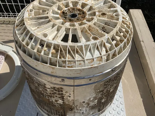 ワカメの汚れが本当に取れているのか気になって仕方がない方へ完全分解で解決できますサービスの画像