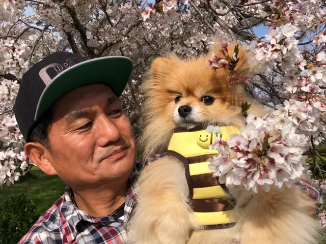 ワカメの汚れが本当に取れているのか気になって仕方がない方へ完全分解で解決できますサービスの画像