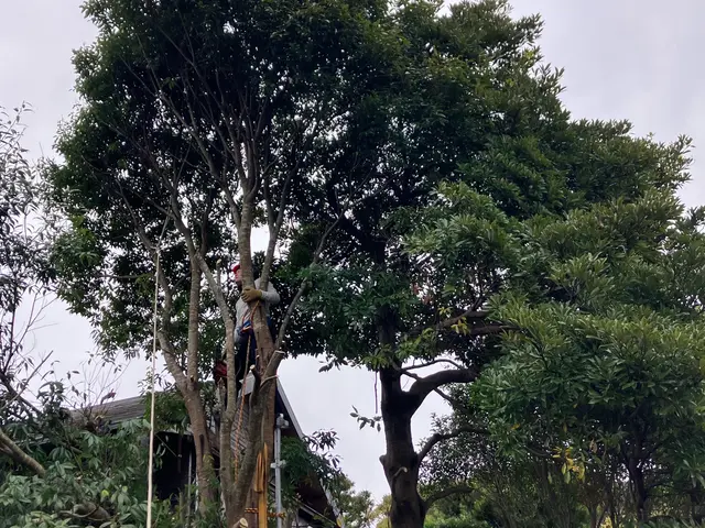 【完全自社施工】営業時間外のご相談可。ご要望に沿った作業・提案を行います◎サービスの画像