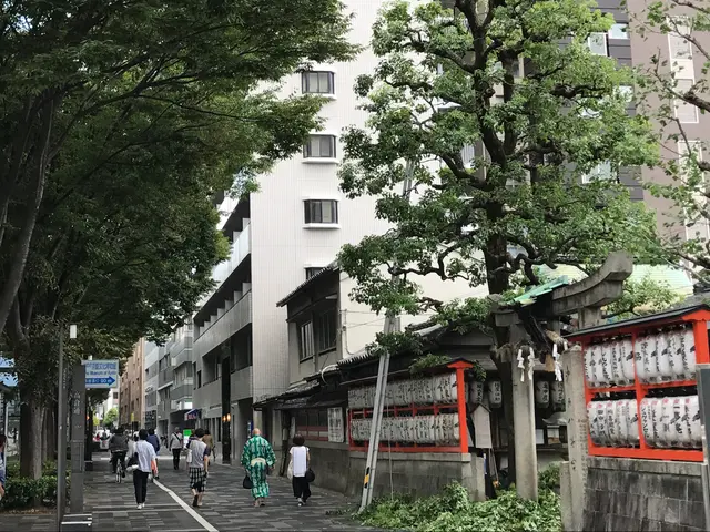 自然な透かし剪定します！サービスの画像