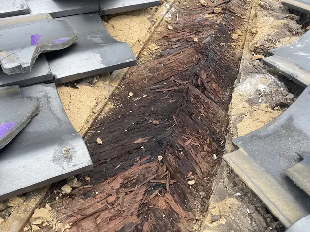 雨漏り補修工事サービスの画像