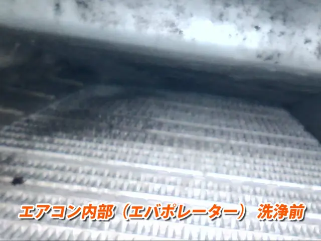 内視鏡カメラを見ながら特許技術で高圧洗浄！　現地クレカ＆QRコード決済可◎サービスの画像