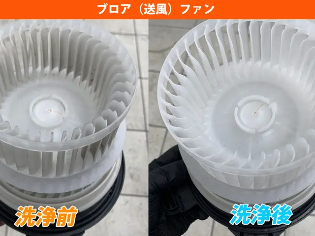 内視鏡カメラを見ながら特許技術で高圧洗浄！　現地クレカ＆QRコード決済可◎サービスの画像