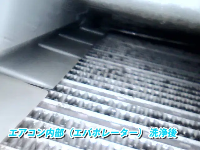 内視鏡カメラを見ながら特許技術で高圧洗浄！　現地クレカ＆QRコード決済可◎サービスの画像