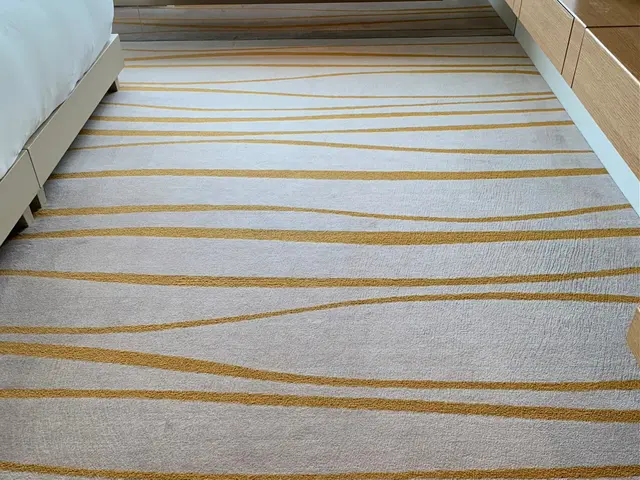 都内５つ星ホテルのカーペットクリーニング実績ありサービスの画像