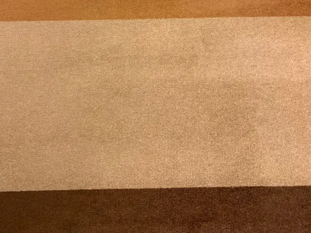 都内５つ星ホテルのカーペットクリーニング実績ありサービスの画像