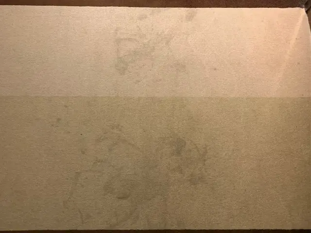 都内５つ星ホテルのカーペットクリーニング実績ありサービスの画像