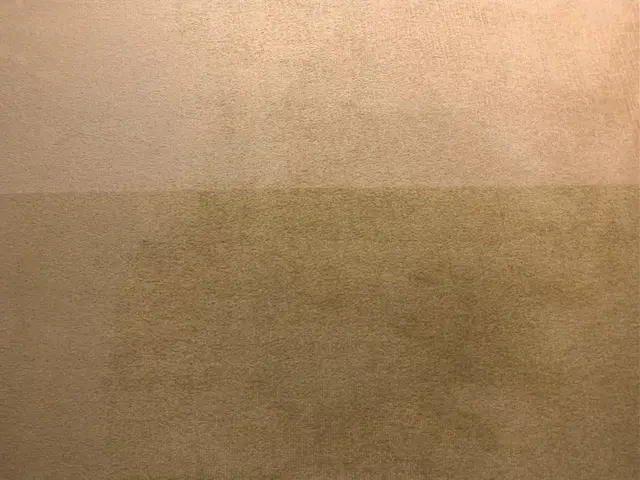 都内５つ星ホテルのカーペットクリーニング実績ありサービスの画像