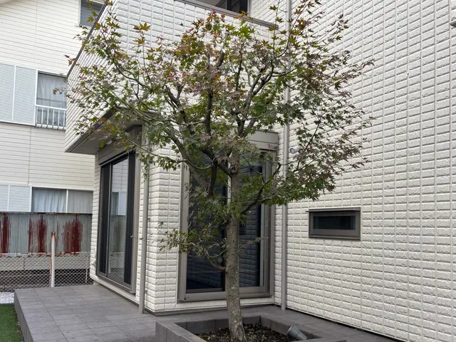 アーボリスト/最も美しい姿であるために『自然風剪定』/ゴミ回収費込みサービスの画像