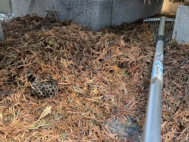 ◆名古屋市発◆年中無休◎女性スタッフ同行可能◎アフターフォローもばっちり！サービスの画像