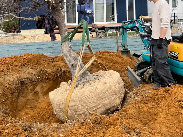 外観の美しさを最大限に引き出し、掃除まで丁寧に対応いたします！サービスの画像