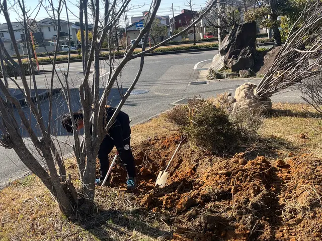 外観の美しさを最大限に引き出し、掃除まで丁寧に対応いたします！サービスの画像