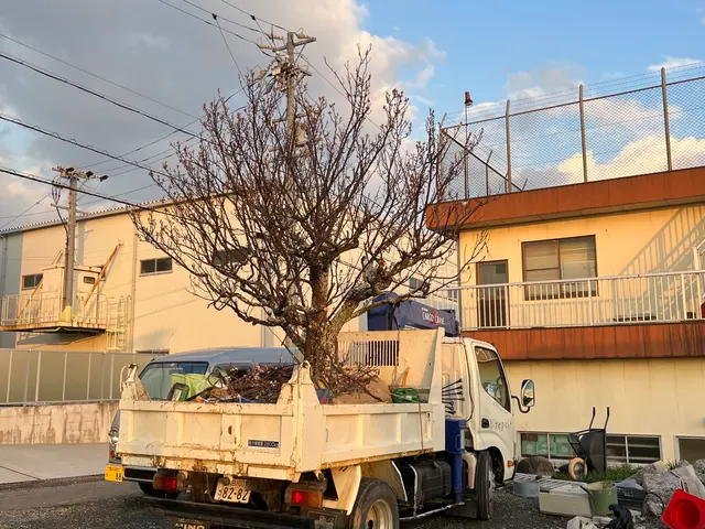 外観の美しさを最大限に引き出し、掃除まで丁寧に対応いたします！サービスの画像