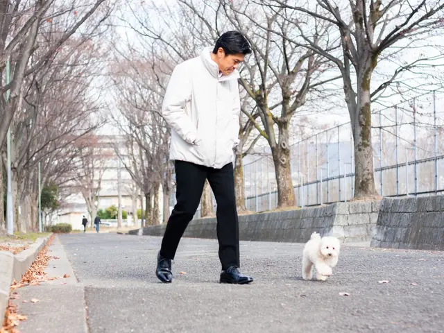 京都を中心に大阪、滋賀も対応します！　安心・安全・親切・丁寧なペット葬儀サービスの画像