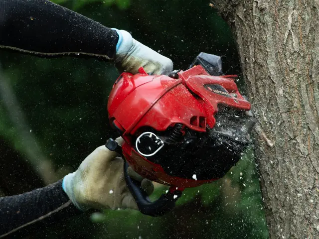 伐採・抜根サービスの画像