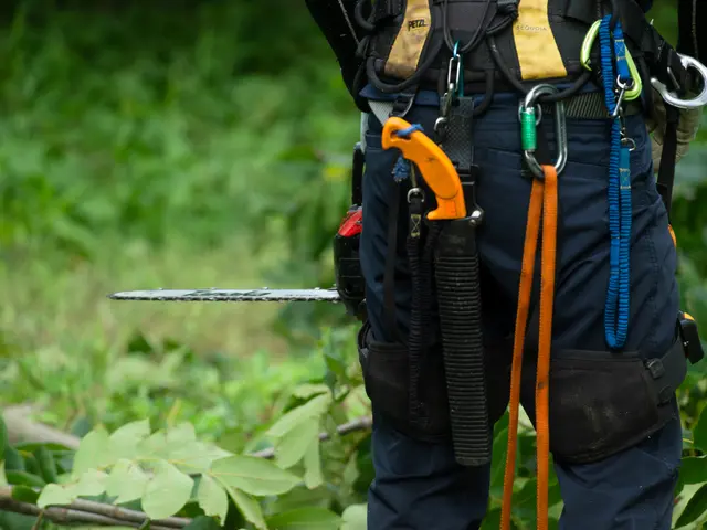 伐採・抜根サービスの画像