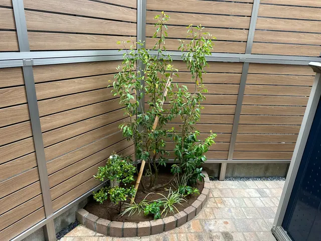 庭木1本から承ります！日曜祝日でも向かいます！サービスの画像