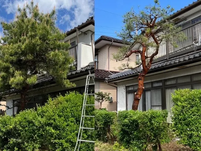 庭木1本から承ります！日曜祝日でも向かいます！サービスの画像