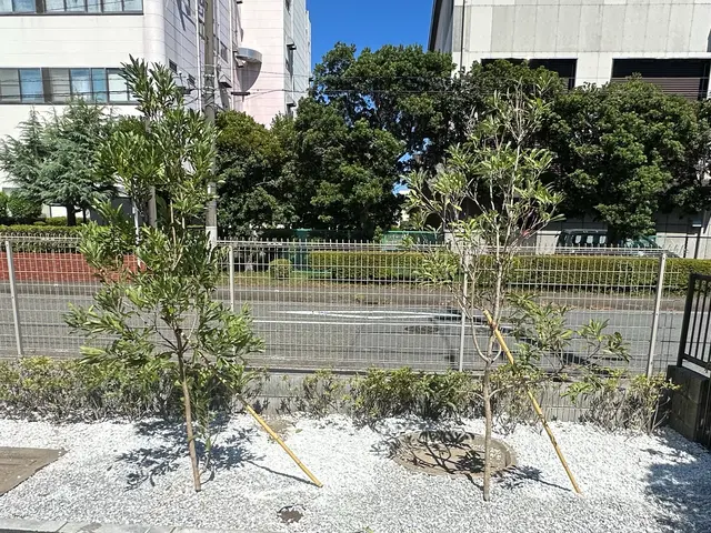 庭木1本から承ります！日曜祝日でも向かいます！サービスの画像