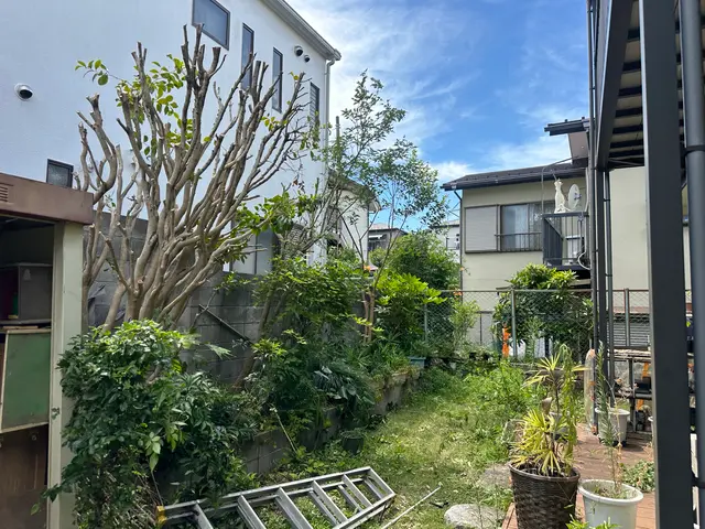 庭木1本から承ります！日曜祝日でも向かいます！サービスの画像