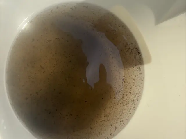 2台目から割引です　丁寧にやらせていただきますサービスの画像