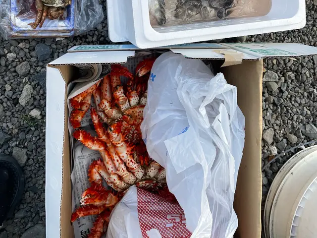 買い物代行/買い物同行/介護有資格者/女性スタッフ/訪問介護経験者/訪問介護サービスの画像