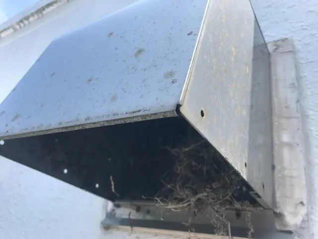 害鳥駆除専門会社◎防鳥ネットの施工も対応しております/インボイス対応店サービスの画像