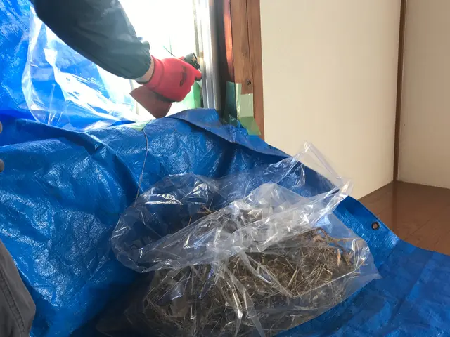 害鳥駆除専門会社◎防鳥ネットの施工も対応しております/インボイス対応店サービスの画像