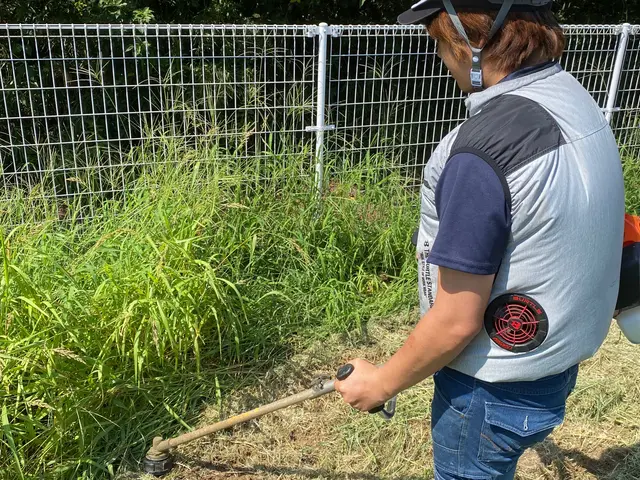 草刈り、伐採サービスの画像