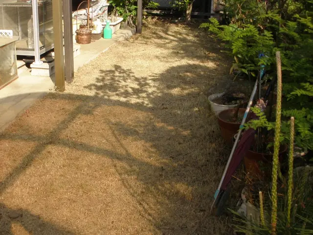 埼玉・東京西部★雑草で困ったらご相談ください☆丁寧！綺麗！安心！近隣への配慮☆サービスの画像