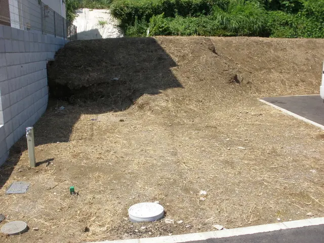 埼玉・東京西部★雑草で困ったらご相談ください☆丁寧！綺麗！安心！近隣への配慮☆サービスの画像