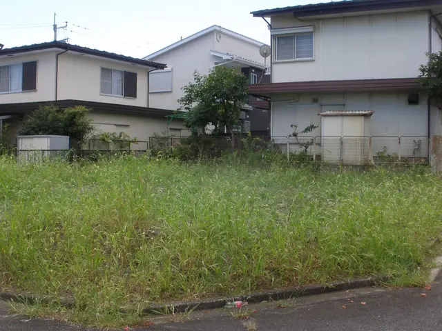埼玉・東京西部★雑草で困ったらご相談ください☆丁寧！綺麗！安心！近隣への配慮☆サービスの画像