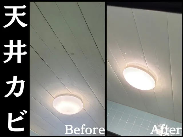 浴室の清掃　２４時間対応可能サービスの画像