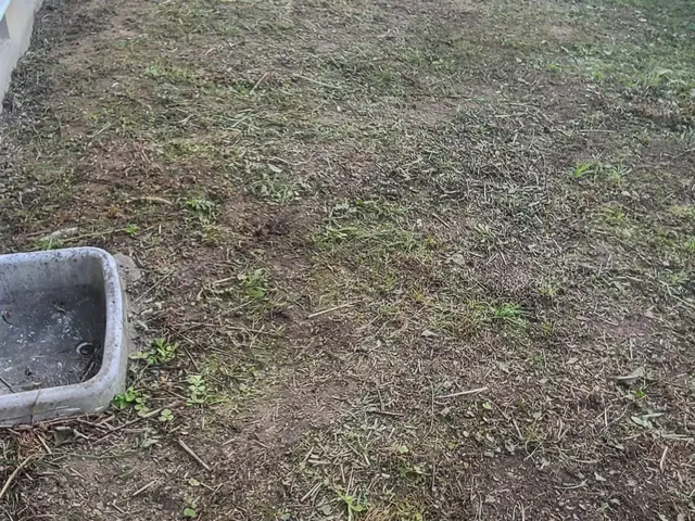 ◆予約から施工まで100%自社対応◎女性スタッフ同行可能◎仕上がり保証ありサービスの画像