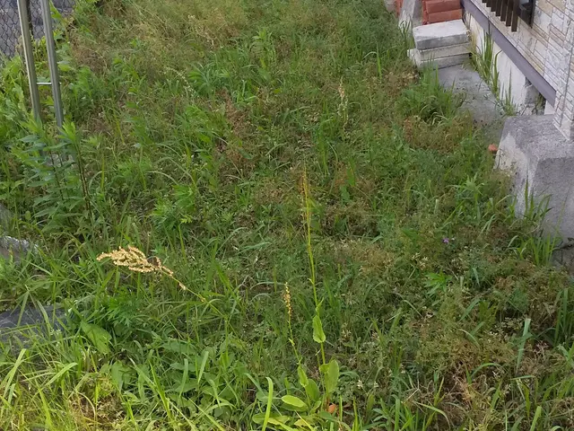 北葛城郡上牧町発【業歴20年の経験と実績！】作業外注なし！駐車代お店負担！サービスの画像