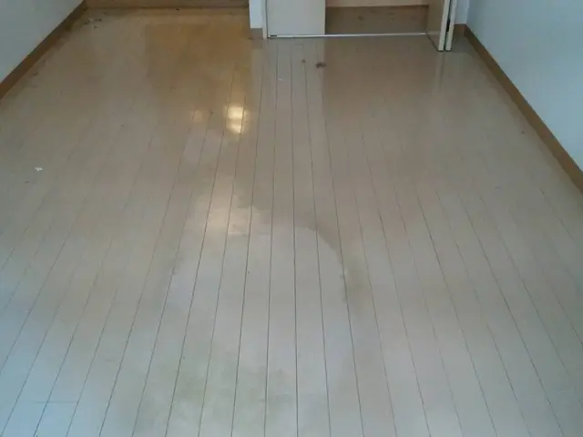 環境にやさしいワックスを使用いたします。お子様からペットまでご安心を！サービスの画像