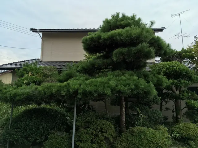 庭という空間をより良い環境に整えます。営業時間外や地域外のご相談もお待ちしてますサービスの画像