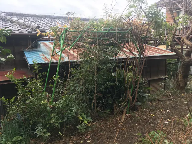 庭という空間をより良い環境に整えます。営業時間外や地域外のご相談もお待ちしてますサービスの画像