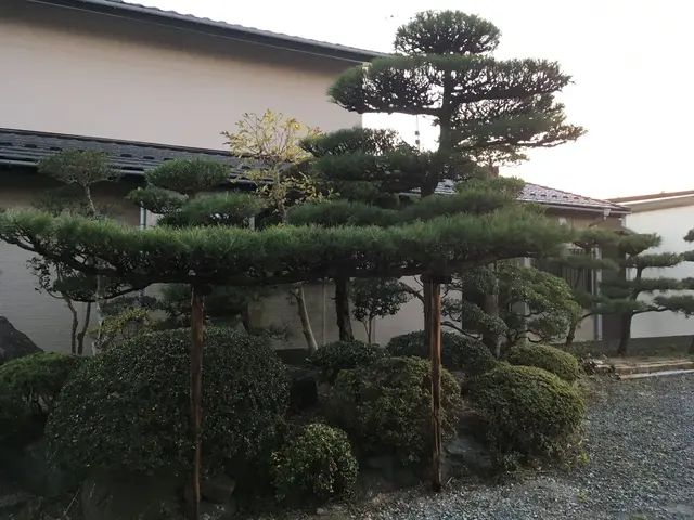 庭という空間をより良い環境に整えます。営業時間外や地域外のご相談もお待ちしてますサービスの画像