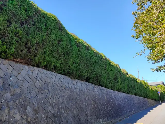 【自然な仕上がり／強剪定など ご要望に沿って職人が丁寧に仕上げます】サービスの画像