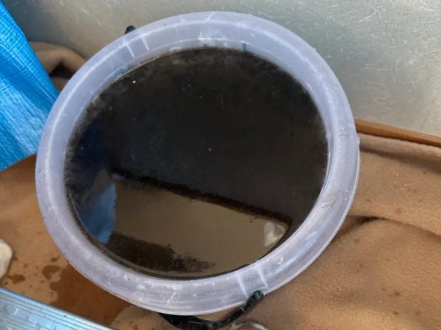 プロの技術でご満足いただけるように心を込めて作業いたしますサービスの画像