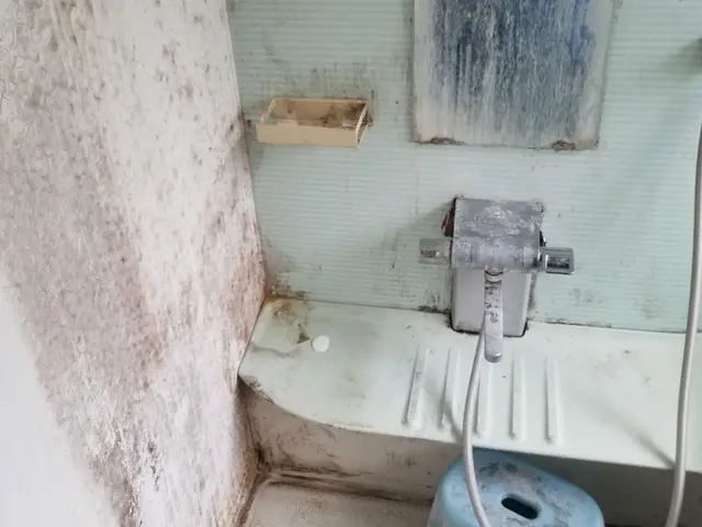 弊社1番人気の『浴室再生クリーニング！』除菌仕上げ・エプロン高圧・鏡研磨込み!！サービスの画像