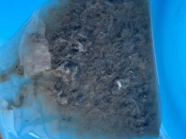 作業外注一切なし◎豊富な経験と知識で安心！ぜひお気軽にご相談ください♪サービスの画像