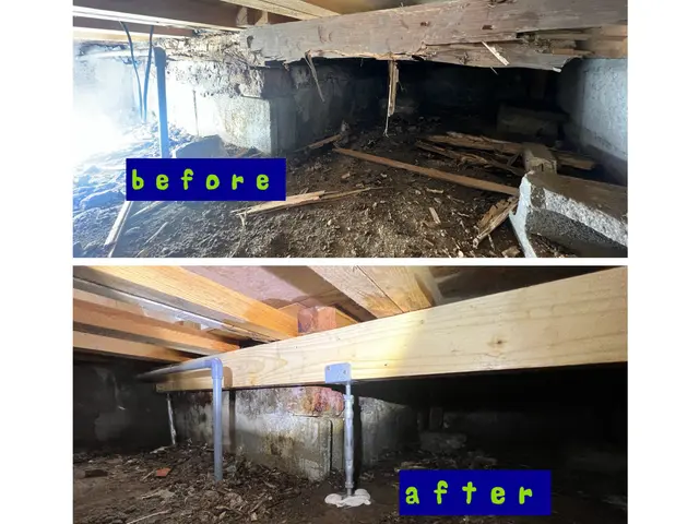 【シロアリ被害も修復できます】★NHK密着取材の実績★◎しろあり専門◎5年保証サービスの画像