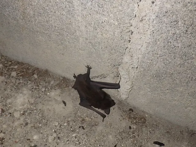 【丁寧・誠実な対応をお約束】時間・ご要望に合わせ対応◎目立たぬ施工で綺麗な仕上◎サービスの画像